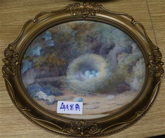 Fred Spencer Still life of a birds nest 22 x 26cm